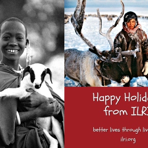 No mean feat: Putting reindeer and goat (and parts thereof) on holiday tables in the Arctic and Africa