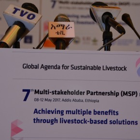 Livestock-based solutions for sustainable development in Africa