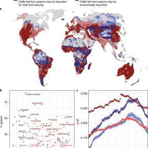 Variability in rainfall is increasing on global pastures important for food access and economies—Nature Climate Change