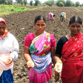 Investigating fodder as a cash crop—a micro-enterprise for Indian dairy women