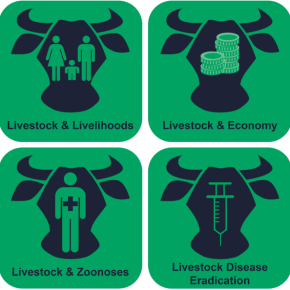 Livestock fact check – what’s behind the data behind facts on livestock development?