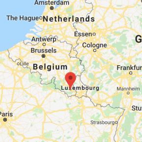 Belgium confirms two cases of African swine fever in wild boar