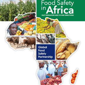 More public heath investment key to addressing food-borne diseases in Africa