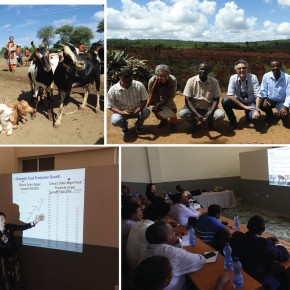 Paving the way for collaboration: ILRI board members visit goat breeding program and Arba Minch University in Ethiopia