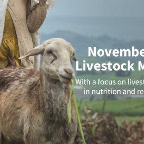This is ‘Livestock Month’ on Agrilinks: USAID’s Andrew Bisson on sustainable livestock for sustainable development