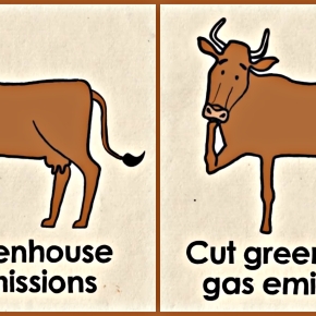 (Enteric methane) greenhouse gas emissions in cows are cut 25% with feed supplement (3-NOP)