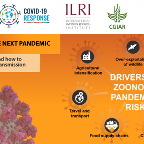 The seven deadly drivers of zoonotic disease pandemics