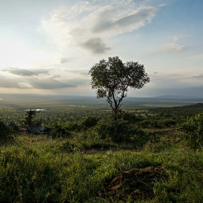 ILRI’s Kapiti Research Station to serve as conservancy and critical wildlife corridor for Nairobi National Park
